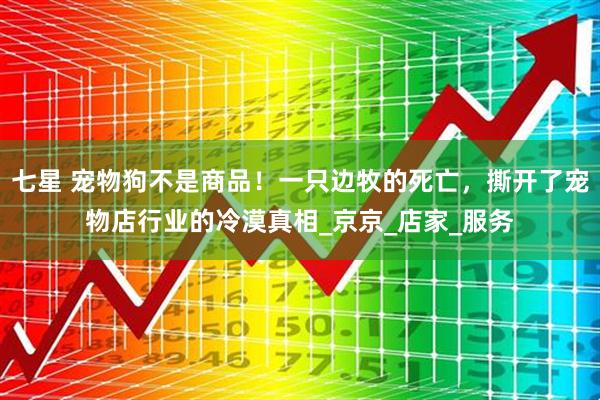 七星 宠物狗不是商品！一只边牧的死亡，撕开了宠物店行业的冷漠真相_京京_店家_服务