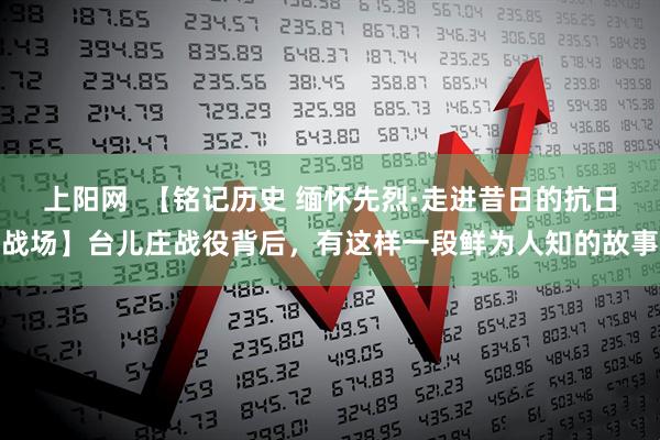 上阳网  【铭记历史 缅怀先烈·走进昔日的抗日战场】台儿庄战役背后，有这样一段鲜为人知的故事