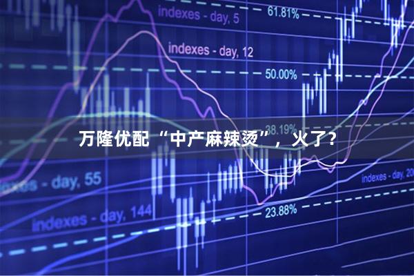 万隆优配 “中产麻辣烫”，火了？