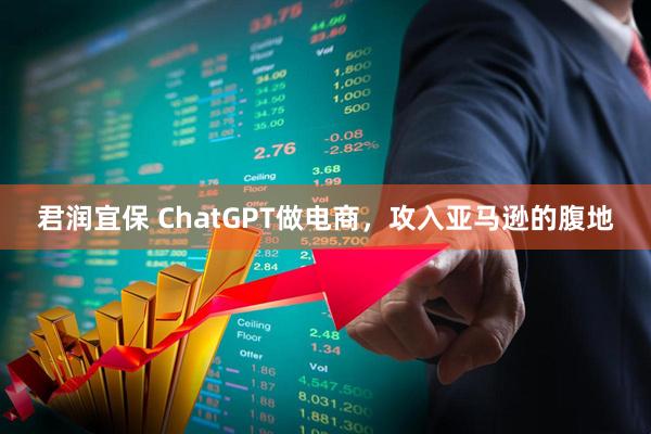 君润宜保 ChatGPT做电商，攻入亚马逊的腹地